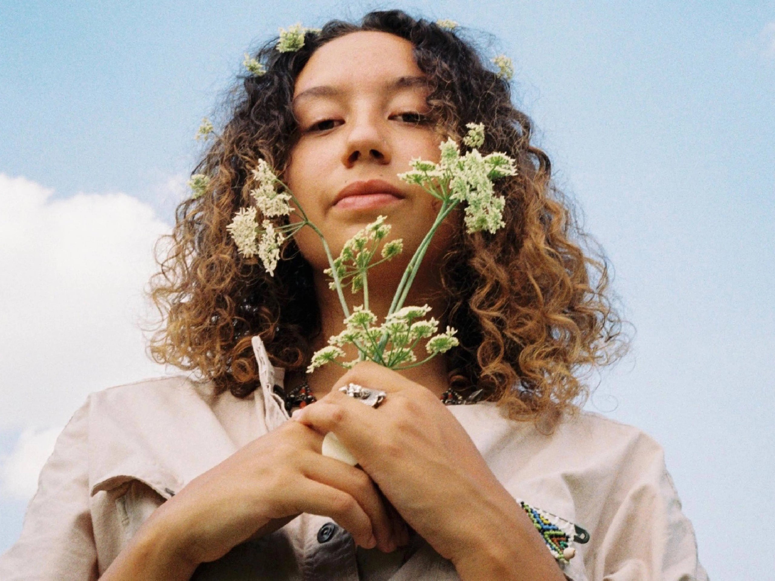 Meru - Revez - Patta